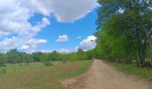 Tocht Stappen Rustrel - visite et tour du Colorado Provençal  - Photo 15