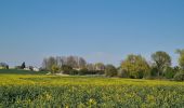 Tour Wandern Urvillers - parcours urvillers moy de l'aisne - Photo 7