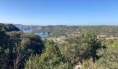 Trail Walking Esparron-de-Verdon - Autour d esparon - Photo 1