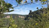 Excursión Senderismo Veyreau - Corniche du Causse noir (Le point sublime)  - Photo 7