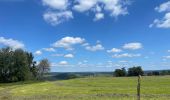 Tour Wandern Sankt Vith - Lommersweiler version longue 2023 - Photo 17