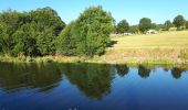 Tocht Stappen Mazet-Saint-Voy - Baignade du moulin de Boyer - Photo 3