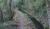 Randonnée Marche Le Thoronet - Le Thoronet- Canal de Ste Croix - Argens - Photo 11