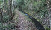 Tour Wandern Le Thoronet - Le Thoronet- Canal de Ste Croix - Argens - Photo 11