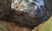 Trail Walking Mazaugues - le Caramy - Photo 8