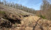 Tocht Stappen Manhay - Malempré Oster Aisne 24,5 km - Photo 8