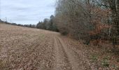 Tocht Noords wandelen Landerneau - landerneau forest landerneau - Photo 3