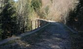 Trail Walking Trévignin - la boucle du Mont Revard par le golet de la pierre et la crémaillère  - Photo 2