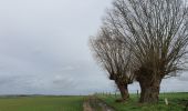 Randonnée Marche Leuze-en-Hainaut - ADEPS - Willaupuis - Photo 3