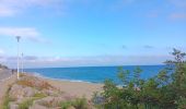 Trail Walking Leucate - plateau de leucat sud-est sans grand route  - Photo 20