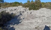 Randonnée Marche Signes - SiouBlanc/Rouca Trouca-Le cros des amandiers-Le Turben-Les 3 marins  - Photo 5