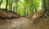 Trail Electric bike Ronse - Renaix- La Houppe par Ellezelles - Photo 15