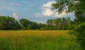 Excursión A pie Schlepzig - Wanderweg Krausnik-Schlepzig (gelber Balken) - Photo 8