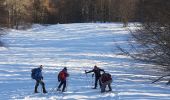 Trail Snowshoes Ancizan - Payolle Marche raquettes - Photo 2