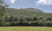 Tocht Mountainbike Saint-Genès-Champanelle - Autour des Puys VTTAE - Photo 4