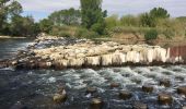 Randonnée Marche Lignan-sur-Orb - Sur les rives de l'Orb - Pont de Tabarka - Pont de Cazouls - Photo 9