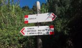 Tocht Stappen Vernazza - Corniglia gare Veratta - Photo 20