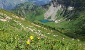 Randonnée Marche Abondance - LAC ET ROC DE TAVANEUSE - Photo 9