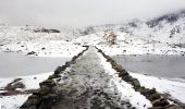 Percorso A piedi Unknown - Miners' Track - Photo 3