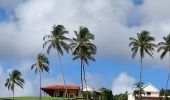 Tour Wandern Sainte-Marie - Azérot morne bataillon, pointe Martineau, pointe Lahoussaye et Cité étoile. - Photo 18