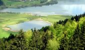 Percorso A piedi Immenstadt im Allgäu - Großer Alpsee Rundwanderweg - Photo 2