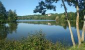 Tocht Stappen Cloyes-les-Trois-Rivières - cloyes sur Loir  - Photo 2