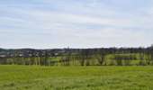 Tour Wandern Welkenrath - 20220411 - Grunhaut 7 Km - Photo 8