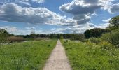 Trail Walking Breda - Breda Mastbosch 24,8 km - Photo 2
