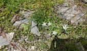 Trail Walking La Grave - la grave  - Photo 1