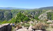 Trail Walking Prévenchères - Garde Guérin /Gorges du chassezac - Photo 5