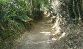 Tour Wandern Le Bono - boucle Bono, Ste Savoye, St Goustan  - Photo 9