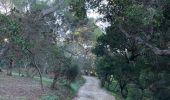 Trail  Hyères - GIENS - Photo 8