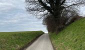 Tocht Stappen Genepiën - BE-Houtain-le-Val - Houtain-le-Mont - Photo 11