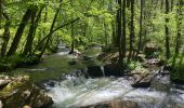 Tocht Stappen Gedinne -  Vallée De la Hulle Bourseigne la neuve - Photo 13