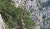 Randonnée Marche La Palud-sur-Verdon - Sentier de l'Imbut et Vidal - Photo 7