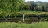 Tour Wandern Viroinval - Nismes le fondry des chiens  - Photo 5