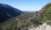 Tocht Stappen Saint-Léger-du-Ventoux - la crête de la montagne de bluye - Photo 12