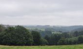 Tocht Stappen Vresse-sur-Semois - rando laforêt 23-08-2024 - Photo 1