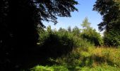 Tocht Stappen Rethondes - en forêt de Laigue_4_08_2019_Mont du Fouilleux_Mont des Singes_Marais de Francière - Photo 12