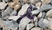 Randonnée Marche Bédoin - les glacières par le sommet du ventoux - Photo 13