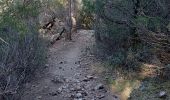 Trail Walking Pégairolles-de-Buèges - seranne, pontel, pegairolles de bueges, et source de la bueges - Photo 10