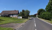 Tour Zu Fuß Nottertal-Heilinger Höhen - Rundweg Volkenrodaer Wald - Photo 2