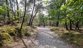 Trail Walking Saint-Sulpice-de-Favières - Saint-Sulpice-de-Favières - Photo 6