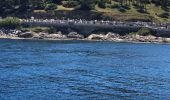 Tour Motorboot Sainte-Maxime - En bateau St Raphael - St Tropez - Photo 9