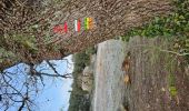 Trail Walking Signes - Plateau de la Limate en partant de Siou Blanc - Photo 13