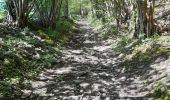Trail Walking Stoumont - moulin du ruy . ruy . andrimont . cour . borgoumont . moulin du ruy - Photo 13