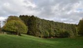 Tour Wandern Theux - 20221024 - Jehanster 7.7 Km - Photo 4