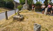Trail Walking Le Malzieu-Ville - Malzieu /Tour d'apcher / Porte des fees - Photo 3