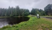 Tocht Stappen La Chaise-Dieu - Bois de Breuil - Photo 18