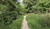 Trail Walking Charentilly - Charentilly - variante Chemin des Grandes Tailles - 11.2km 110m 3h00 - 2025 08 27 - Photo 7